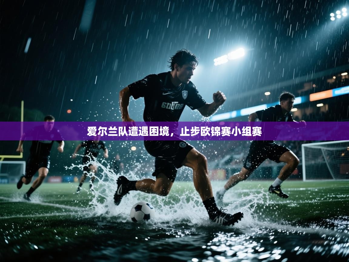 开云体育app网页版入口-爱尔兰队遭遇困境,止步欧锦赛小组赛 第1张