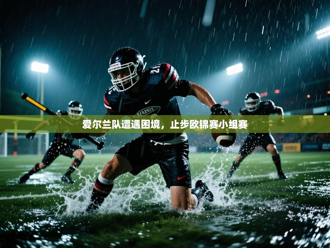 开云体育app网页版入口-爱尔兰队遭遇困境,止步欧锦赛小组赛 第2张