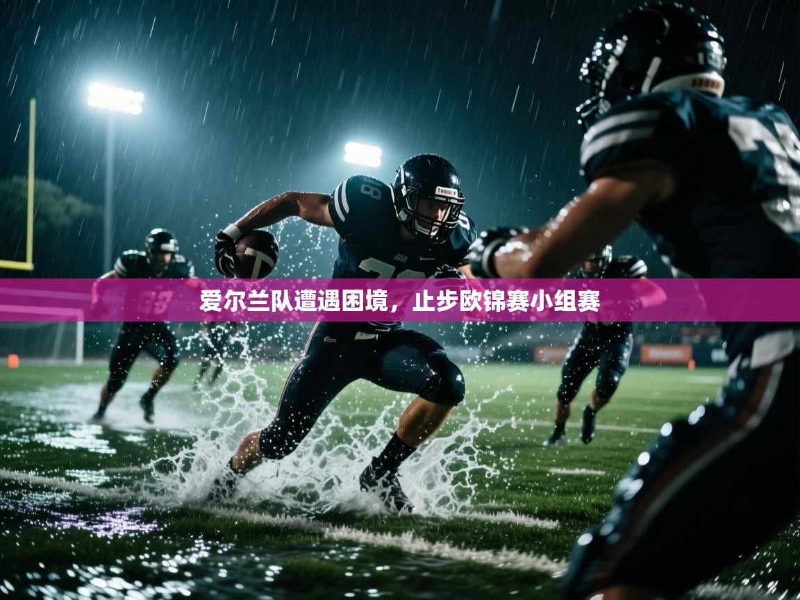 开云体育app网页版入口-爱尔兰队遭遇困境,止步欧锦赛小组赛 第3张