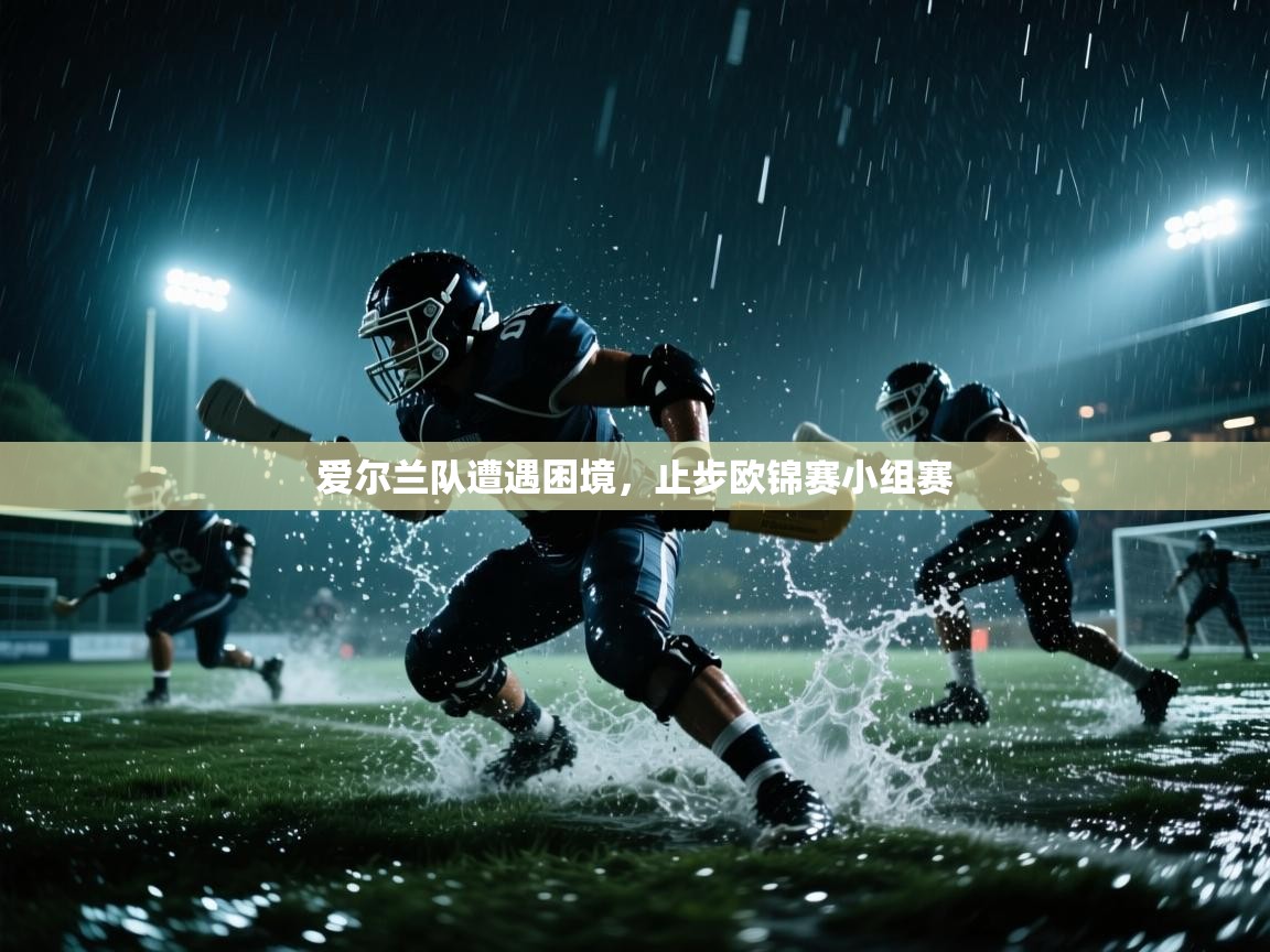 开云体育app网页版入口-爱尔兰队遭遇困境,止步欧锦赛小组赛 第4张