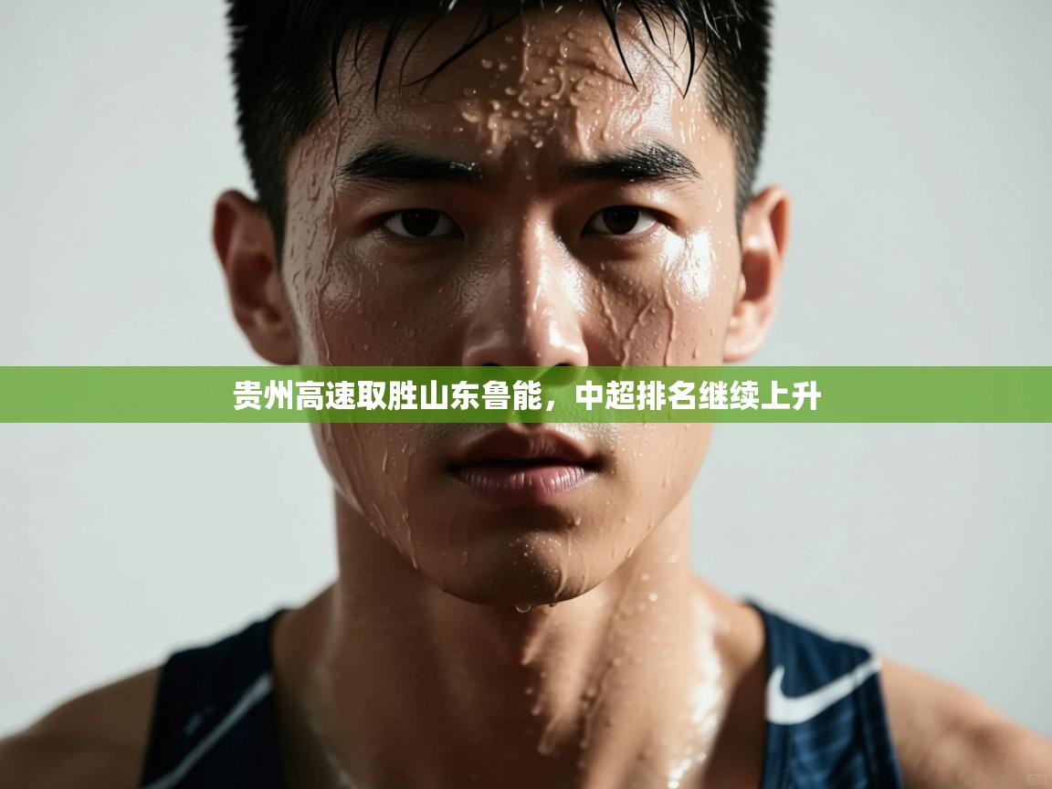 开云体育app安装-贵州高速取胜山东鲁能，中超排名继续上升